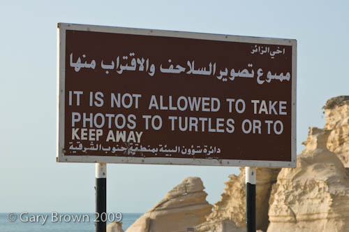 Turtle Beach Sign